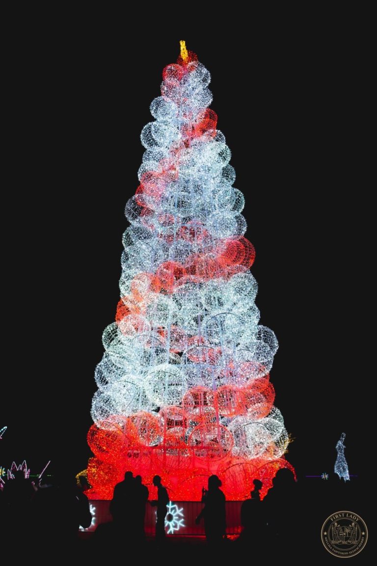 Read more about the article Enchanted Christmas Forest opened to great public interest